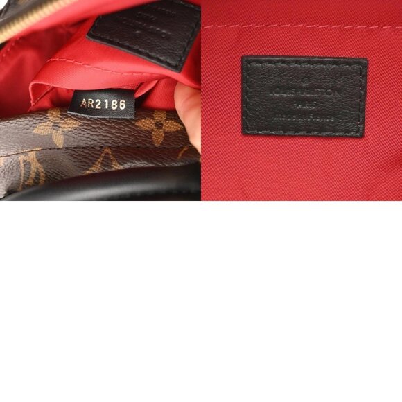 LOUIS VUITTON Monogram Palm Springs Backpack World Tour - Picture 9 of 12